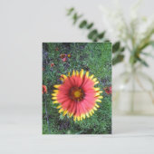 Indische penseel briefkaart (Staand voorkant)