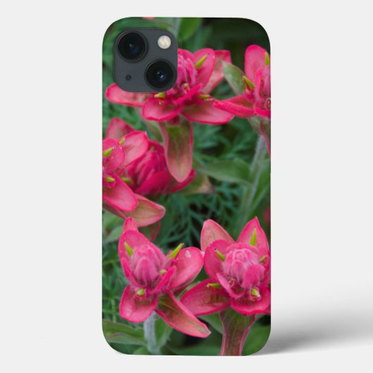 Indische penseel Case-Mate iPhone case (Achterkant)