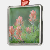 Indische penseel, Castilleja miniata, Ouray Metalen Ornament (Links)