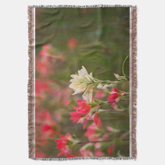 Indische penseel deken (Voorkant Verticaal)