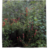 Indische penseel in het bos douchegordijn (Voorkant)