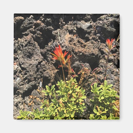 Indische penseel magneet (Voorkant)