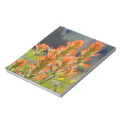 Indische penseel notitieblok (Linkerzijde)