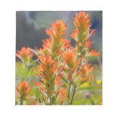 Indische penseel notitieblok (Voorkant)