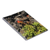 Indische penseel notitieboek (Rechterzijde)