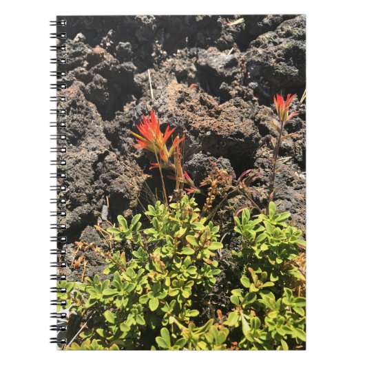 Indische penseel notitieboek (Voorkant)