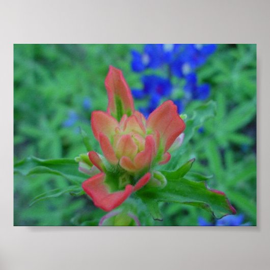 Indische penseel poster (Voorkant)