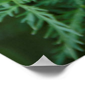 Indische penseel poster (Hoek)