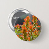 Indische penseel ronde button 5,7 cm (Voorkant /achterkant)