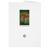 Indische penseelschildering - Oorspronkelijke blow (Achterkant)