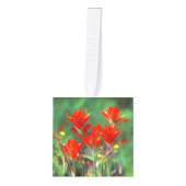 Indische penseelschildering - Oorspronkelijke blow Decoratie (Voorkant)