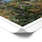 Indische pieken, Colorado Poster (Hoek)