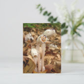 Indische pijplijnkalender ~ briefkaart (Staand voorkant)