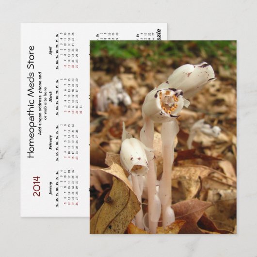 Indische pijplijnkalender ~ briefkaart (Voorkant / Achterkant)