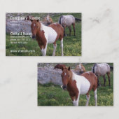 Indische Pony Visitekaartje (Voorkant / Achterkant)