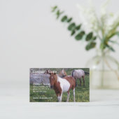 Indische Pony Visitekaartje (Staand voorkant)
