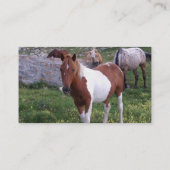 Indische Pony Visitekaartje (Achterkant)