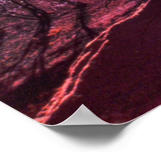 Indische Puppies begroeten de nieuwe dag in Canyon Poster (Hoek)