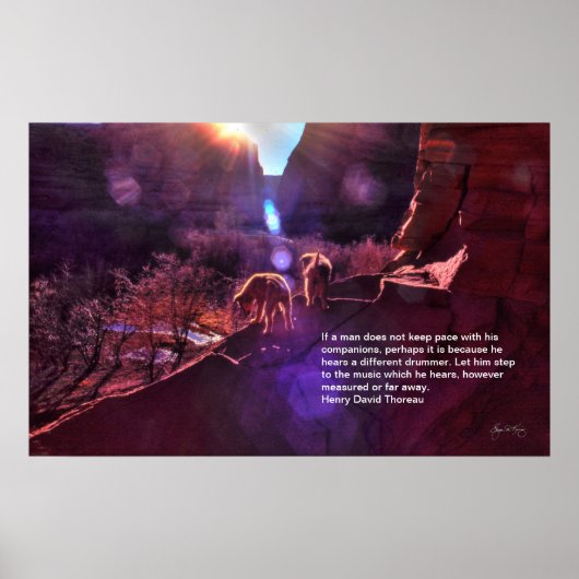 Indische Puppies begroeten de nieuwe dag in Canyon Poster (Voorkant)