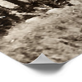 Indische receptie van President Arthur Antiqued Poster (Hoek)