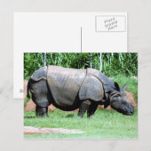 Indische Rhino4x6 Briefkaart (Voorkant / Achterkant)