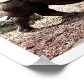 Indische rhino poster (Hoek)