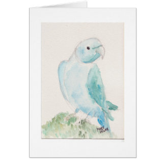 Indische ringhalspalk