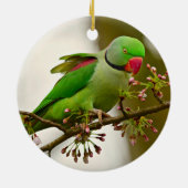 Indische ringhalspapegaai keramisch ornament (Achterkant)