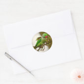 Indische ringhalspapegaai ronde sticker (Envelop)