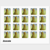 Indische ringneck in de schaduw vierkante sticker (Vel)
