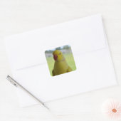 Indische ringneck in de schaduw vierkante sticker (Envelop)