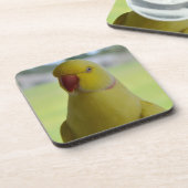 Indische ringnek in de schaduw drankjes onderzetter (Linkerzijde)