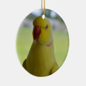 Indische ringnek in de schaduw keramisch ornament (Rechts)