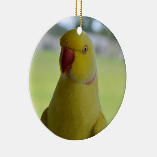 Indische ringnek in de schaduw keramisch ornament (Rechts)