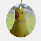 Indische ringnek in de schaduw keramisch ornament (Links)