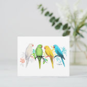 Indische ringneparrots briefkaart (Staand voorkant)