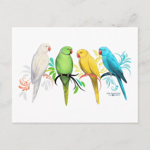 Indische ringneparrots briefkaart