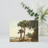 Indische rivier Florida 1898  foto Briefkaart (Staand voorkant)