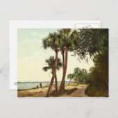 Indische rivier Florida 1898  foto Briefkaart (Voorkant / Achterkant)