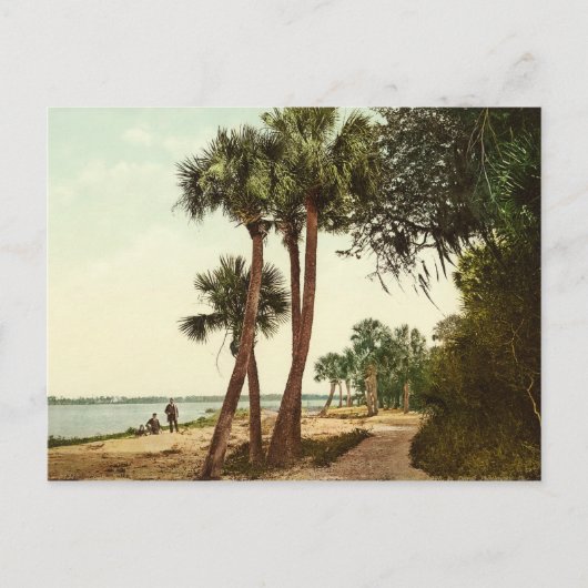 Indische rivier Florida 1898  foto Briefkaart (Voorkant)