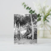 Indische rivier, Florida Getaway: jaren '90 Briefkaart (Staand voorkant)