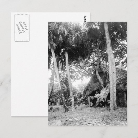 Indische rivier, Florida Getaway: jaren '90 Briefkaart (Voorkant / Achterkant)