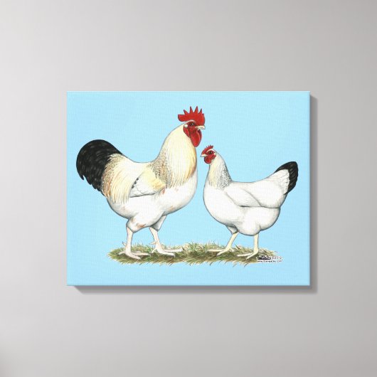 Indische rivierkippen canvas afdruk (Voorkant)