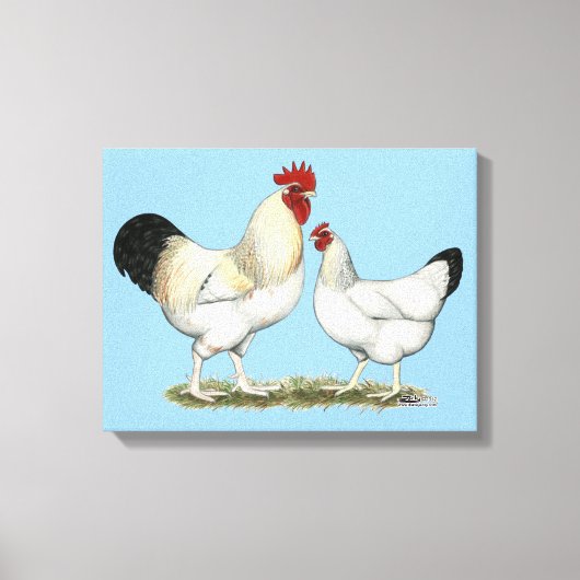 Indische rivierkippen canvas afdruk (Voorkant)