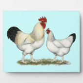 Indische rivierkippen fotoplaat (Voorkant)