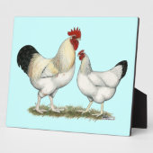 Indische rivierkippen fotoplaat (Zijkant)