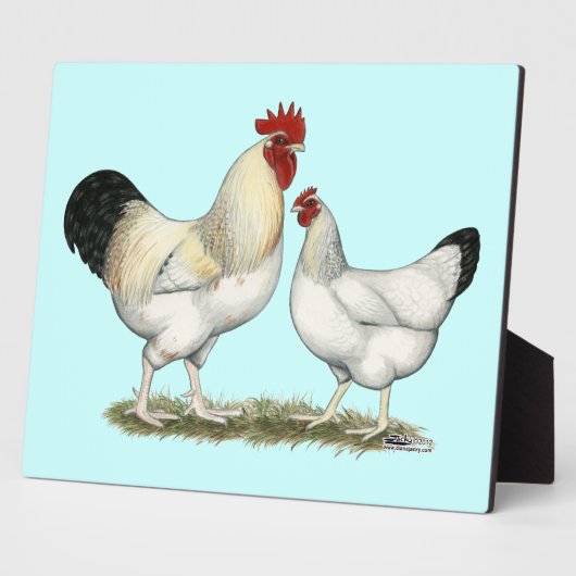 Indische rivierkippen fotoplaat (Zijkant)