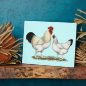 Indische rivierkippen fotoplaat (Zijkant)