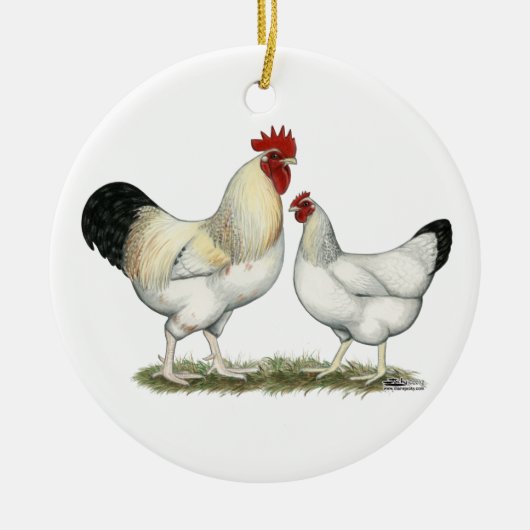 Indische rivierkippen keramisch ornament (Voorkant)