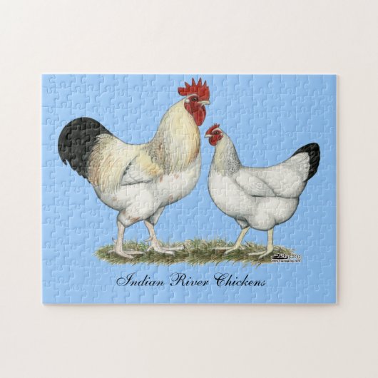Indische rivierkippen legpuzzel (Horizontaal)